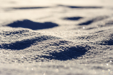 Similar image 21372772