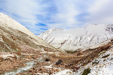 Similar image 21372791