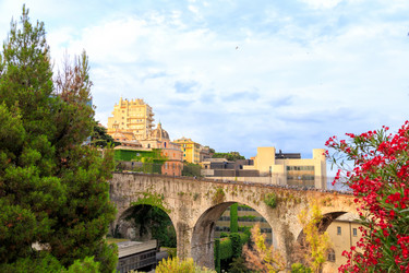 Similar image 21372796