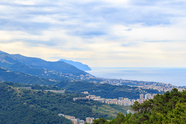 Similar image 21372797