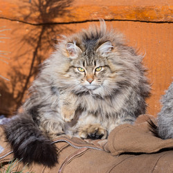 Similar image 21372980