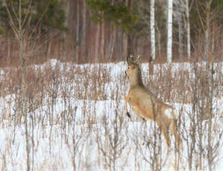 Similar image 21373275