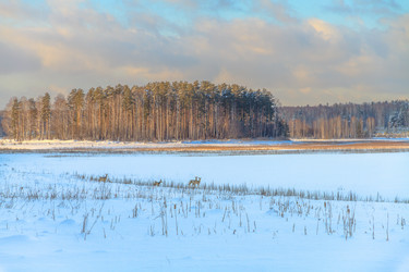 Similar image 21373279