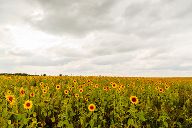 Similar image 21373645