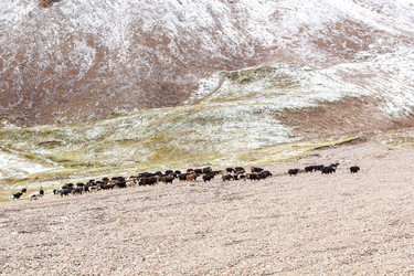 Similar image 21373652