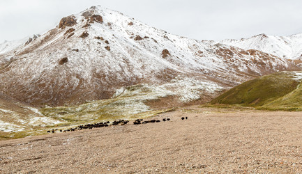 Similar image 21364208