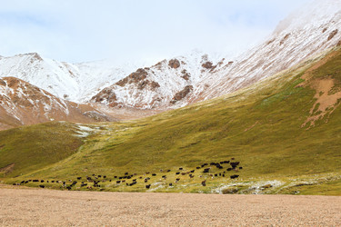 Similar image 21365320