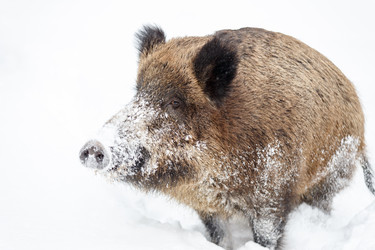 Similar image 21365329