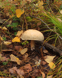 Similar image 21372810