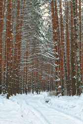 Similar image 21372819