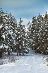 Similar image 21372820