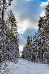 Similar image 21372999