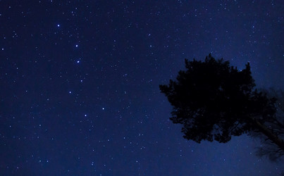 Similar image 21373101