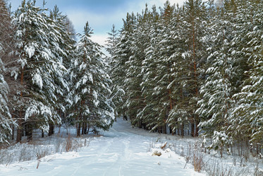 Similar image 21373103