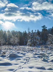 Similar image 21373105