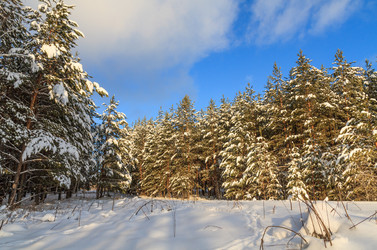 Similar image 21373288