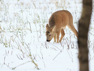 Similar image 21364457