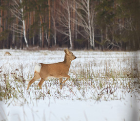 Similar image 21364988