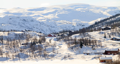 Similar image 21365000