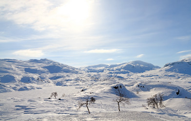 Similar image 21365004