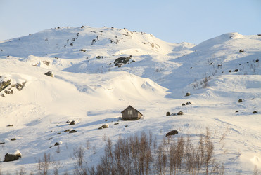 Similar image 21365006