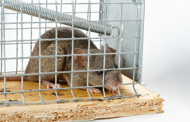 Similar image 21372362