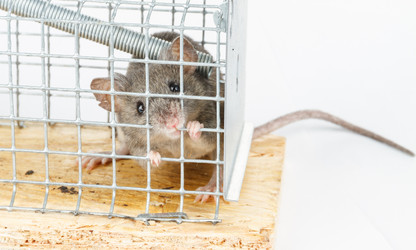 Similar image 21372368