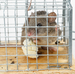 Similar image 21372513