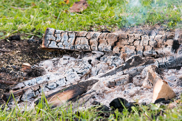 Similar image 21372520