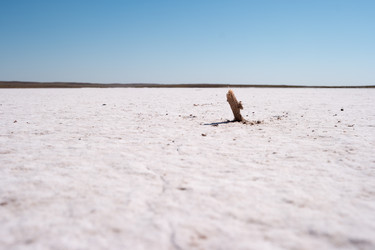 Similar image 21372524