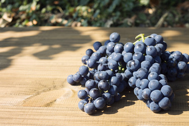 Similar image 21346876