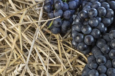 Similar image 21346945