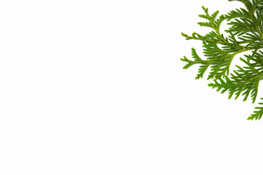 Similar image 21347807