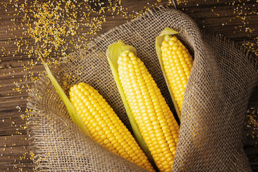 Similar image 21347810