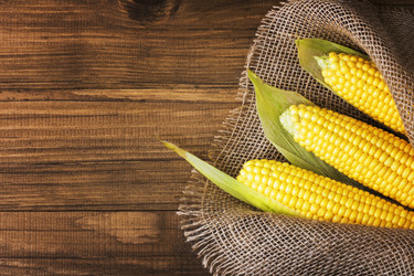 Similar image 21347813