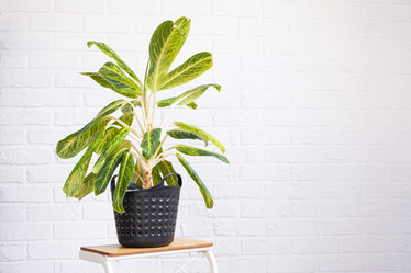 Similar image 21362891