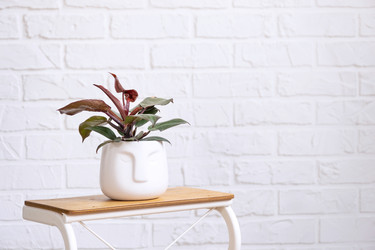 Similar image 21362892