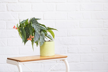 Similar image 21362896