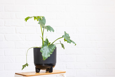 Similar image 21362898