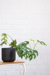 Similar image 21362905