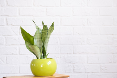 Similar image 21362907