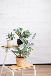 Similar image 21362915