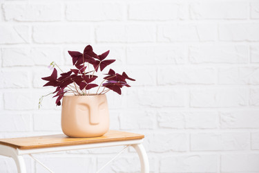 Similar image 21362920