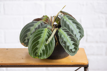 Similar image 21362929