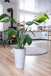 Similar image 21362935