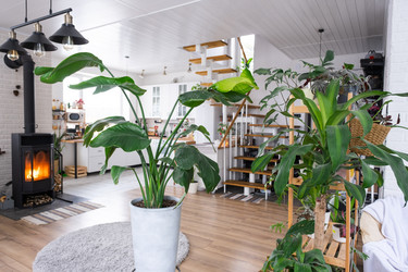 Similar image 21362942