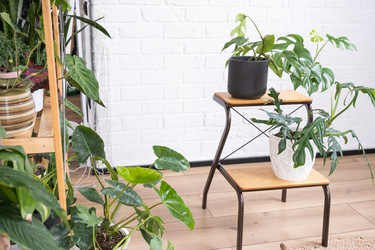 Similar image 21362945