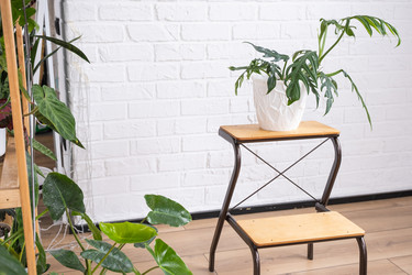 Similar image 21362947