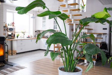 Similar image 21362948