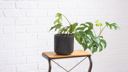 Similar image 21362951